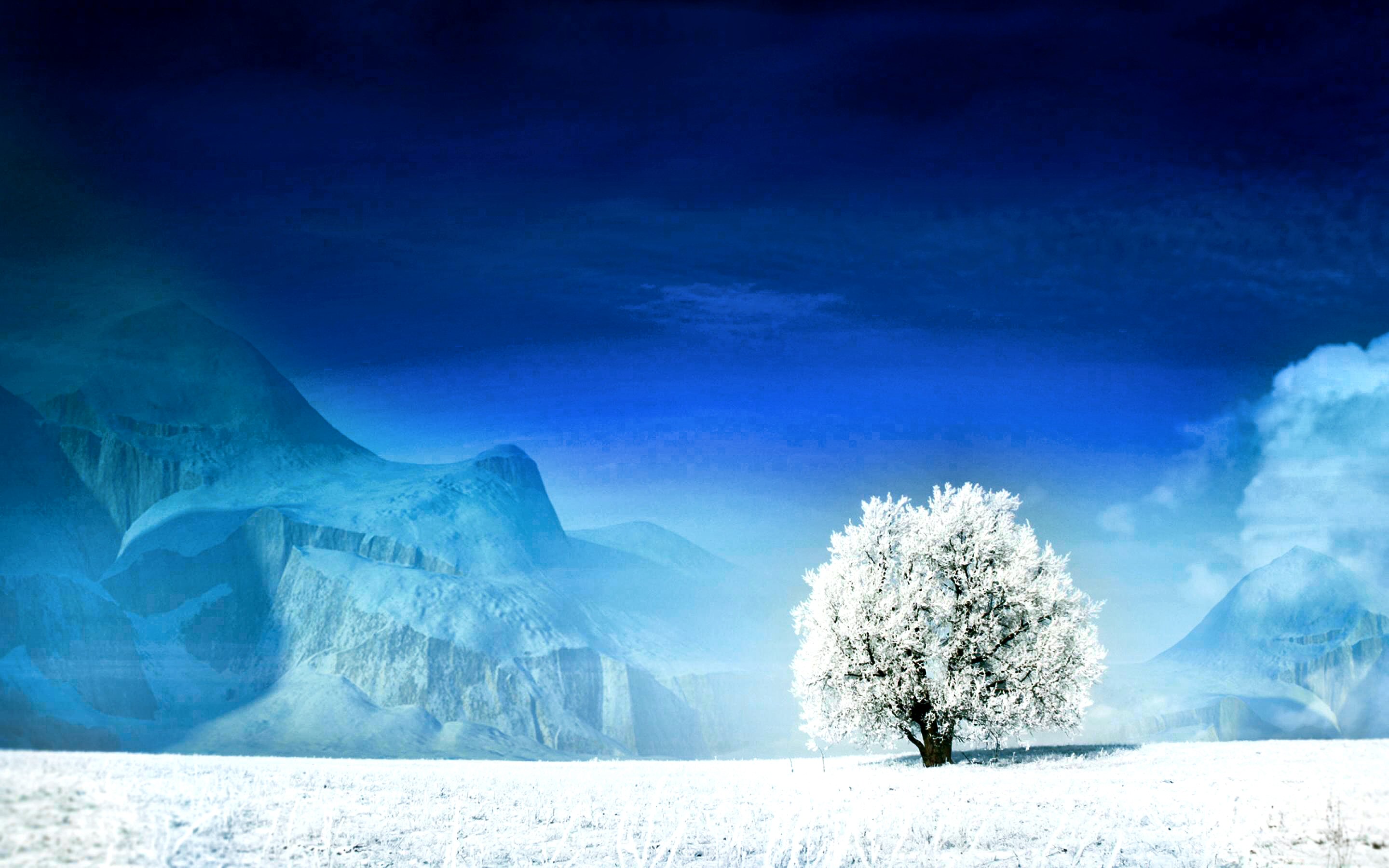 世界举重赛备战队伍体能训练加强,2021年世界举重比赛视频